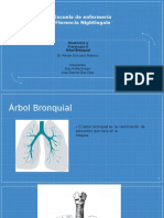 Anatomia Arbol Bronquial 1