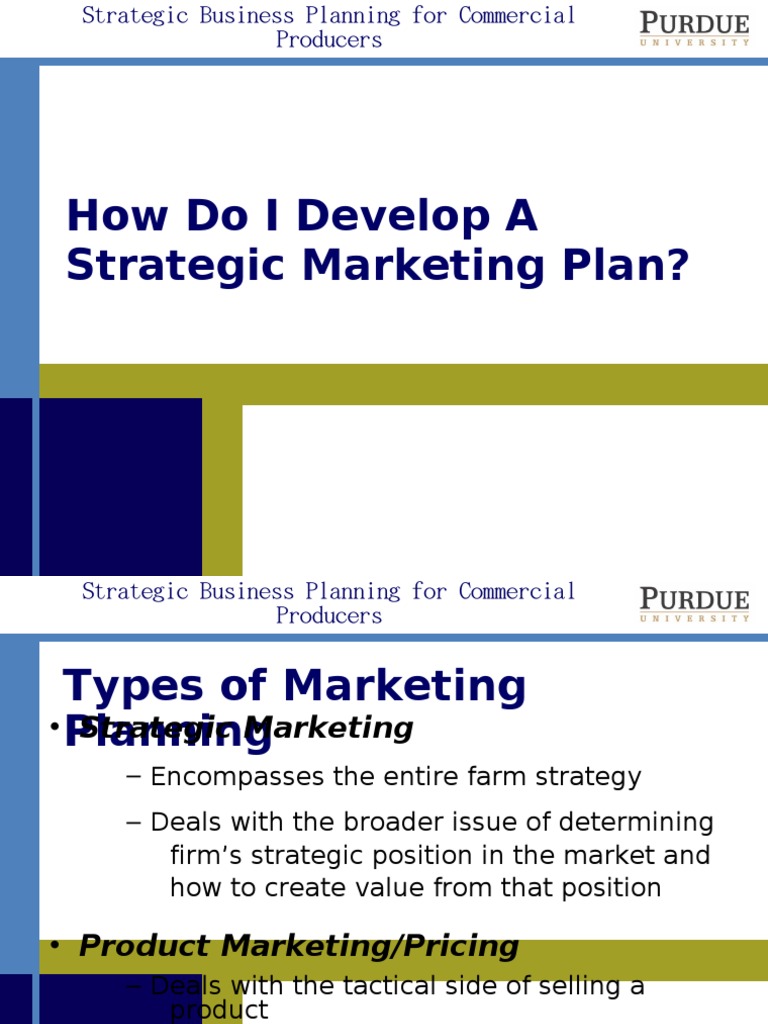 Strategic Marketing Plan | PDF | Marketing | Marketing Strategy