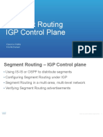 0040-SR-TOI-SR IGP Control Plane V11a