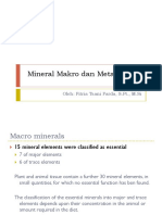 Mineral Makro Dan Metabolisme