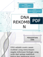 DNA Rekombinasi