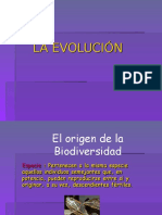 La Evolucion Original