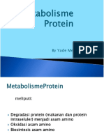 Metabolisme Protein.pdf