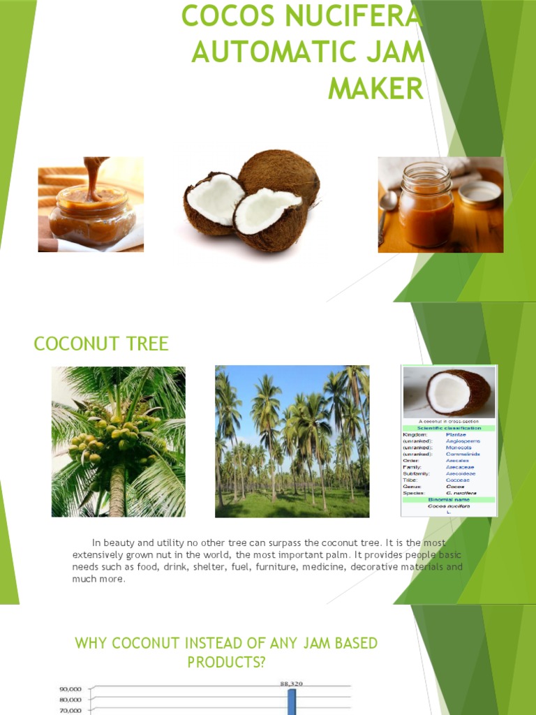 Cocos Nucifera Automatic Jam Maker | PDF | Fruit Preserves | Coconut