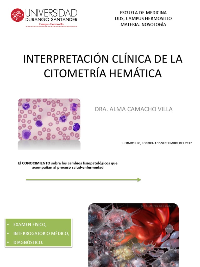 Guía de Citometría Hemática Clínica | PDF | Sangre | Anemia