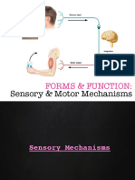 08 ASSIGN Sensory-Motor