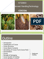 5 - Cocoa 2019