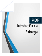 Introducción A La Patología Yo-Rotado