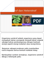 Autotrof Dan Heterotrof