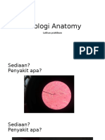 Patologi Anatomy Latihan Praktikum