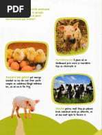 Jocuri Pentru Copii Inteligenti Carte De Activitati 3 Ani Pdf