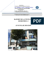 RAPORT_DE_ACTIVITATE_OK.pdf