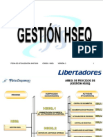 Hseq Caracterizacion de Procsos