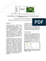 Cannabis Sativa 1