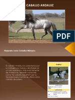 El Caballo Andaluz