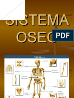 dibujos_sistema_oseo.ppt