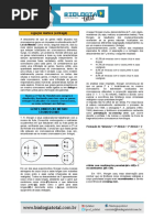[Teoria] Linkage.pdf
