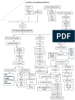 Pathway Glomerulonefritis