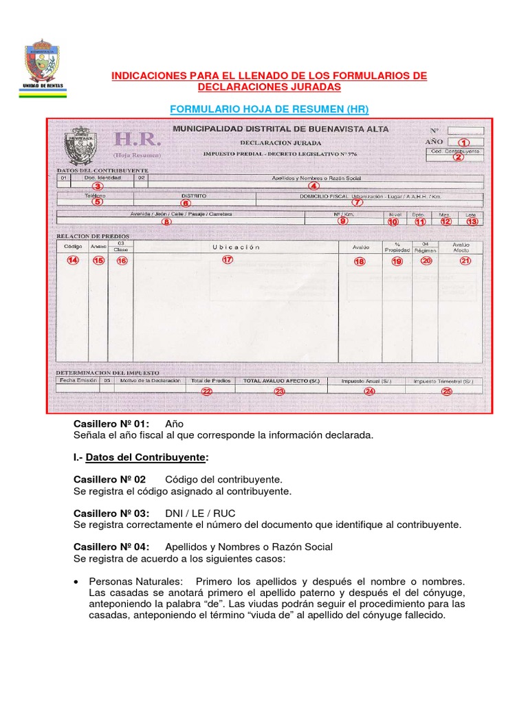 Instrucciones para Declaraciones Juradas | PDF | Contribuyente | Impuestos