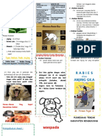 RAbies Pamflet