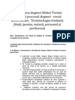 Formularea Dogmei Sfintei Treimi. Terminologia Trinitară Fiinţă, Ipostas, Natură, Persoană Şi Perihoreză