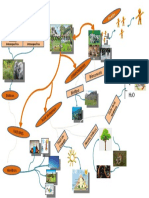 Mapa Mental Ecosistema