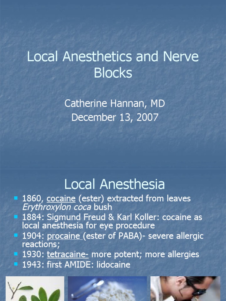 Local Anesthetics and Nerve Blocks Hannan PDF Anesthesia Human