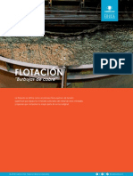 Flotacion Codelco Educa.pdf