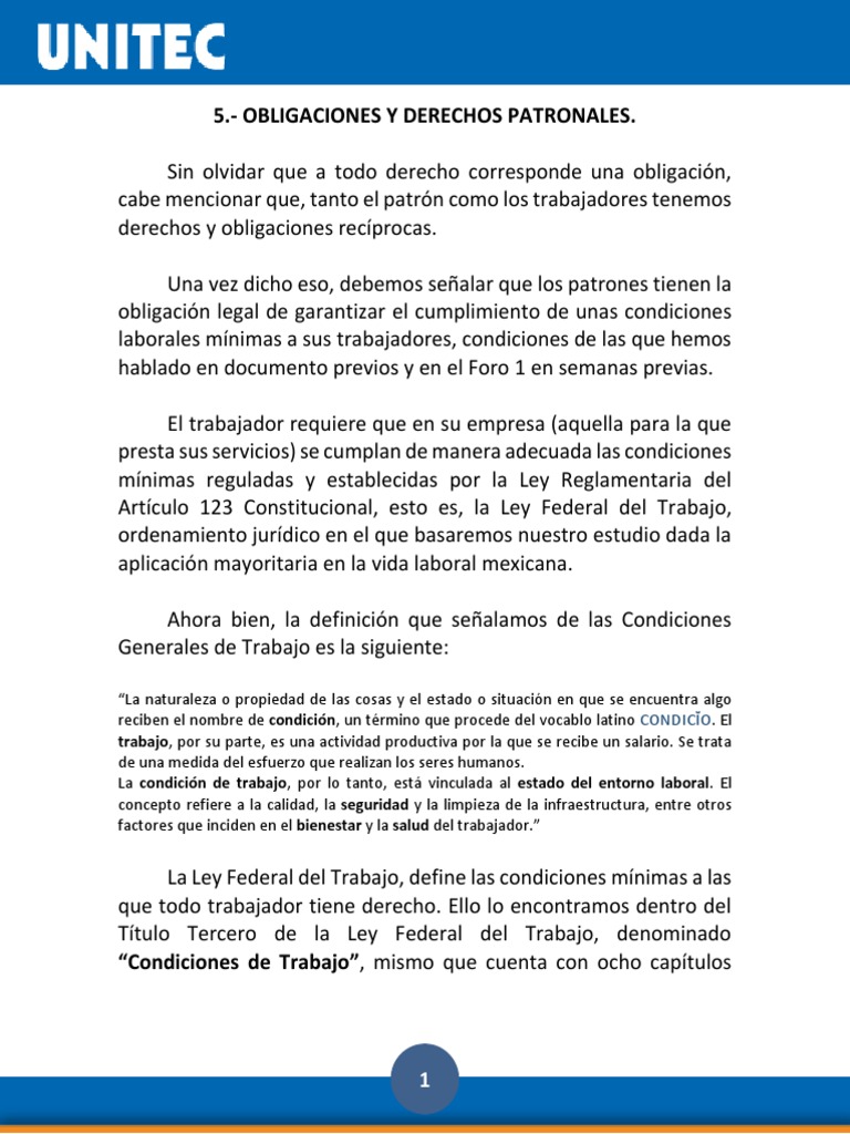 Derechos y Obligaciones Laborales | PDF | Derecho laboral | Seguridad