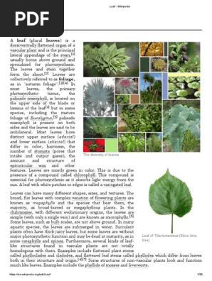Leaf
