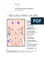 Control 1 de Anatomía y Fisiología B