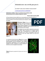 Premio Nobel de Química 2008 PDF