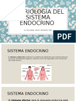 Embriología Del Sistema Endocrino