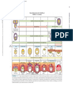 Embriología_clínica_(9a._ed.)_----_(Pg_21--22).pdf