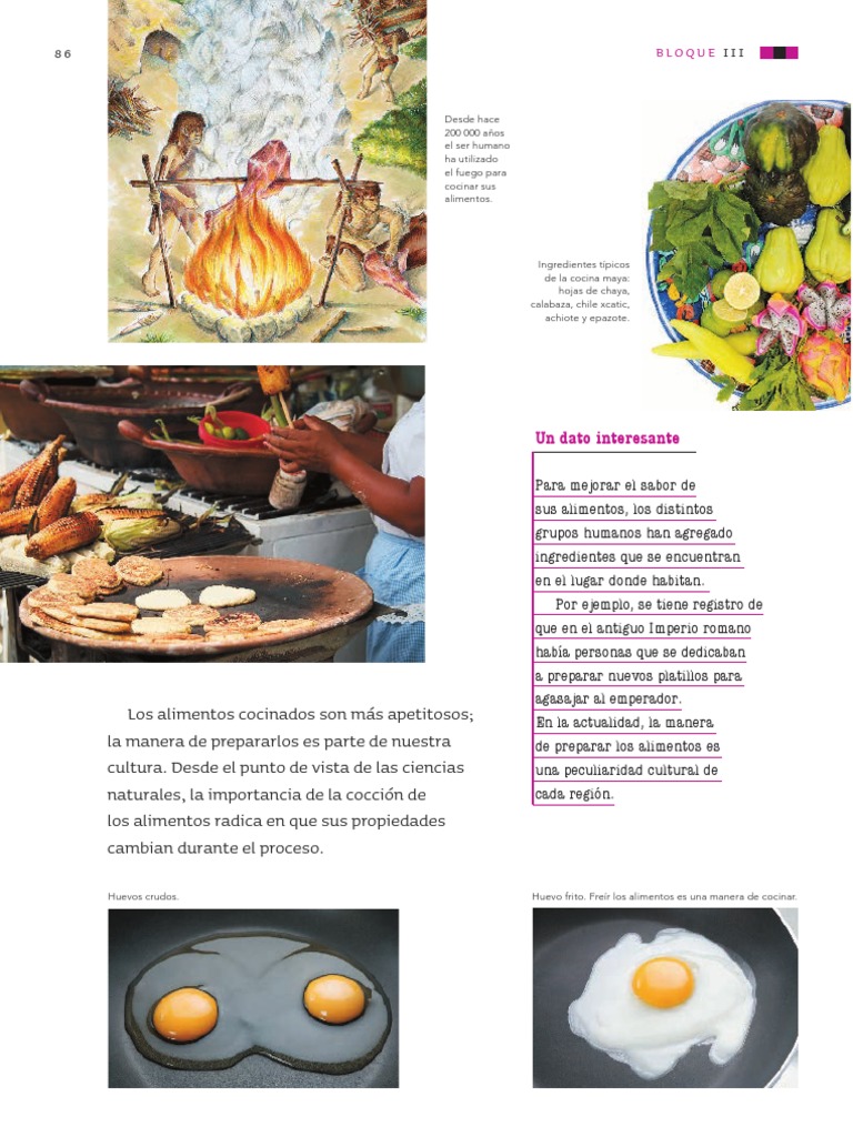 Cambios en Alimentos Cocidos y Crudos | PDF | Caldo | Alimentos