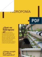 Hidroponia Proyecto
