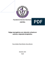 Articulo de Sindrome de Vejiga Neurogenica