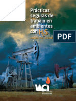 Manual H2S ch.pdf