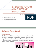 Informe Nuestro Futuro Común o Informe Brundtland