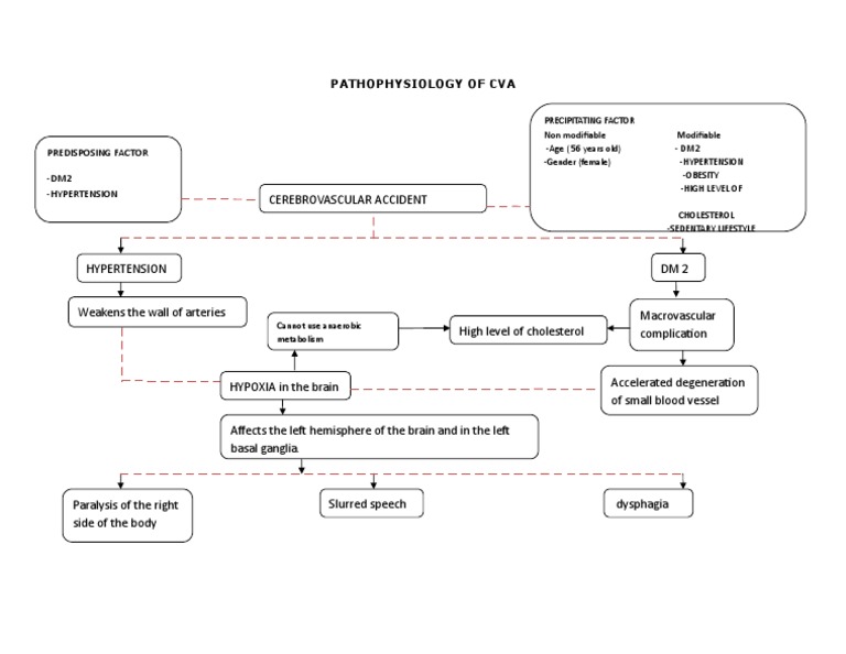 CVA Pathophysiology and Risk Factors | PDF