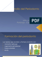 Desarrollo Del Periodonto