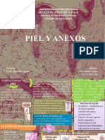 Piel y anexos: Estructura, funciones y terminaciones nerviosas