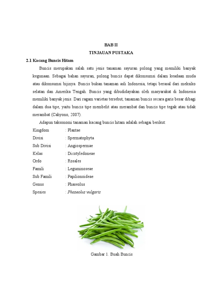 Bab Ii Induksi Kalus Dan Tunas PDF