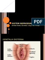 Anatomi Fis Sistem Reproduksi
