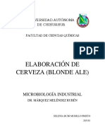 Practica Elaboracion Cerveza PDF