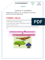 Class Science 3rd Cells Docx