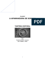 A APANHADORA DE SONHOS TANTRA.pdf