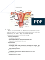 ANATOMI ORGAN GENITALIA