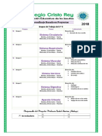 2ºb Proyecto de Biología Rama Anatomía Grupos de Trabajo 2020