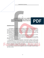 Voz Trastorno y Rehabilitacion PDF